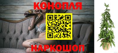 гидропоника Бузулук