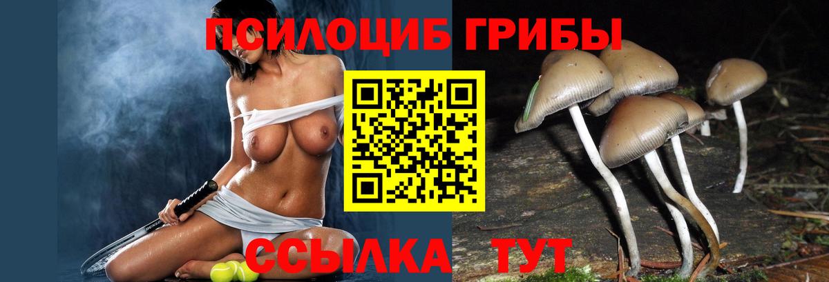 Улан-Удэ  Галлюциногенные грибы MAGIC MUSHROOMS  даркнет сайт  Псилоцибиновые грибы GOLDEN TEACHER  Вход с VPN 
