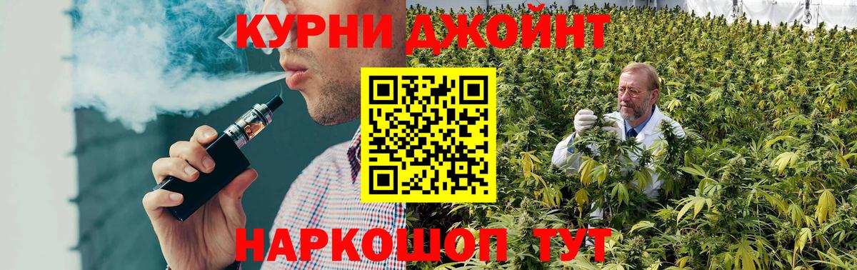 Бошки Шишки планчик Улан-Удэ
